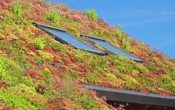 Belleau living roof systems